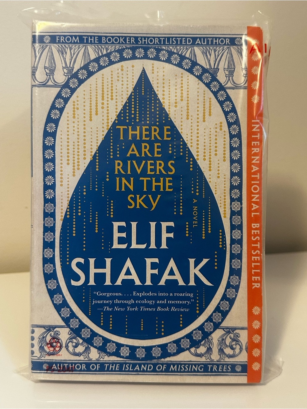 🌼 3/$30 There are rivers in the sky Elif Shafak